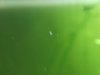 upload_2017-1-17_17-53-53.jpeg upload_2017-1-17_17-53-53.jpeg