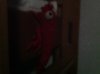image.jpeg