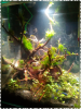 PhotoGrid_1484758322077.png PhotoGrid_1484758322077.png
