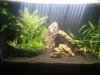 20170123_133723.jpg