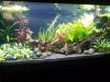 20170119_172905.jpg 20170119_172905.jpg