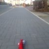 image.jpeg image.jpeg