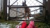 _20170202_085221.JPG