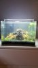 50l Scaper´s Tank.jpg 50l Scaper´s Tank.jpg