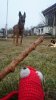 _20170207_220303.JPG