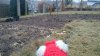 _20170207_220222.JPG