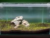 Aquarium - Tag 9 - F.jpg