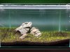 Aquarium - Tag 9 - F.jpg Aquarium - Tag 9 - F.jpg