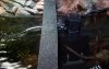 103_1807.JPG