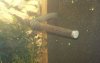 103_1810.JPG
