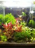 20170219_183011.jpg