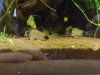 20170220_144643.jpg