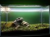 Aquarium - Tag 20 - F.jpg