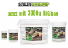 SaltyShrimp neue Grössen.png SaltyShrimp neue Grössen.png