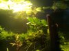 IMG_20170415_163702.jpg