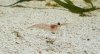 20170417_154622.jpg