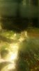 20170420_205734.jpg 20170420_205734.jpg