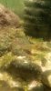 20170420_210335.jpg 20170420_210335.jpg