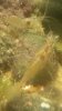 20170420_210355.jpg 20170420_210355.jpg