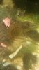 20170420_210933.jpg 20170420_210933.jpg