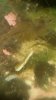 20170420_210940.jpg 20170420_210940.jpg