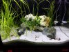 IMG_20170505_181036.jpg
