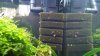 20170506_114404.jpg 20170506_114404.jpg