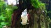 20170506_114852.jpg 20170506_114852.jpg
