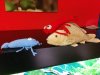 IMG_20170519_205700.jpg
