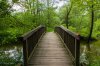9 Insektenbrücke.jpg