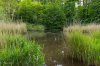 12 Moorteich.jpg