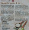 20 Salzquelle Beste.jpg