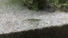 20170603_151707.jpg