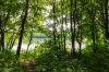 10 versteckter Waldsee.jpg