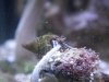 2015-05-04 (3).JPG 2015-05-04 (3).JPG