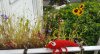20170716_143348.jpg