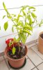 20170716_143332.jpg
