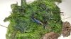 20170707_130225.jpg 20170707_130225.jpg