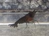 20170724_201059.jpg 20170724_201059.jpg