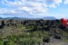 DSC_0556.jpg