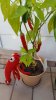 20170805_200748.jpg