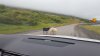 20170727_145109.jpg