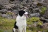 DSC_0764.jpg