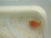 DSCN4945.JPG DSCN4945.JPG