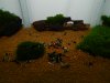 DSCN2314.JPG