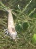 20170925_120116.jpg 20170925_120116.jpg