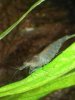 20170925_095942.jpg 20170925_095942.jpg