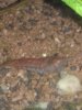 20170925_095432.jpg