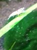 20170919_200142.jpg