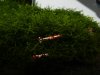 DSCN8758.JPG